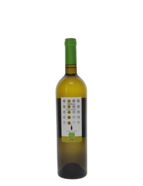 IGT TERRE SICILIANE INZOLIA CANTINE PAOLINI